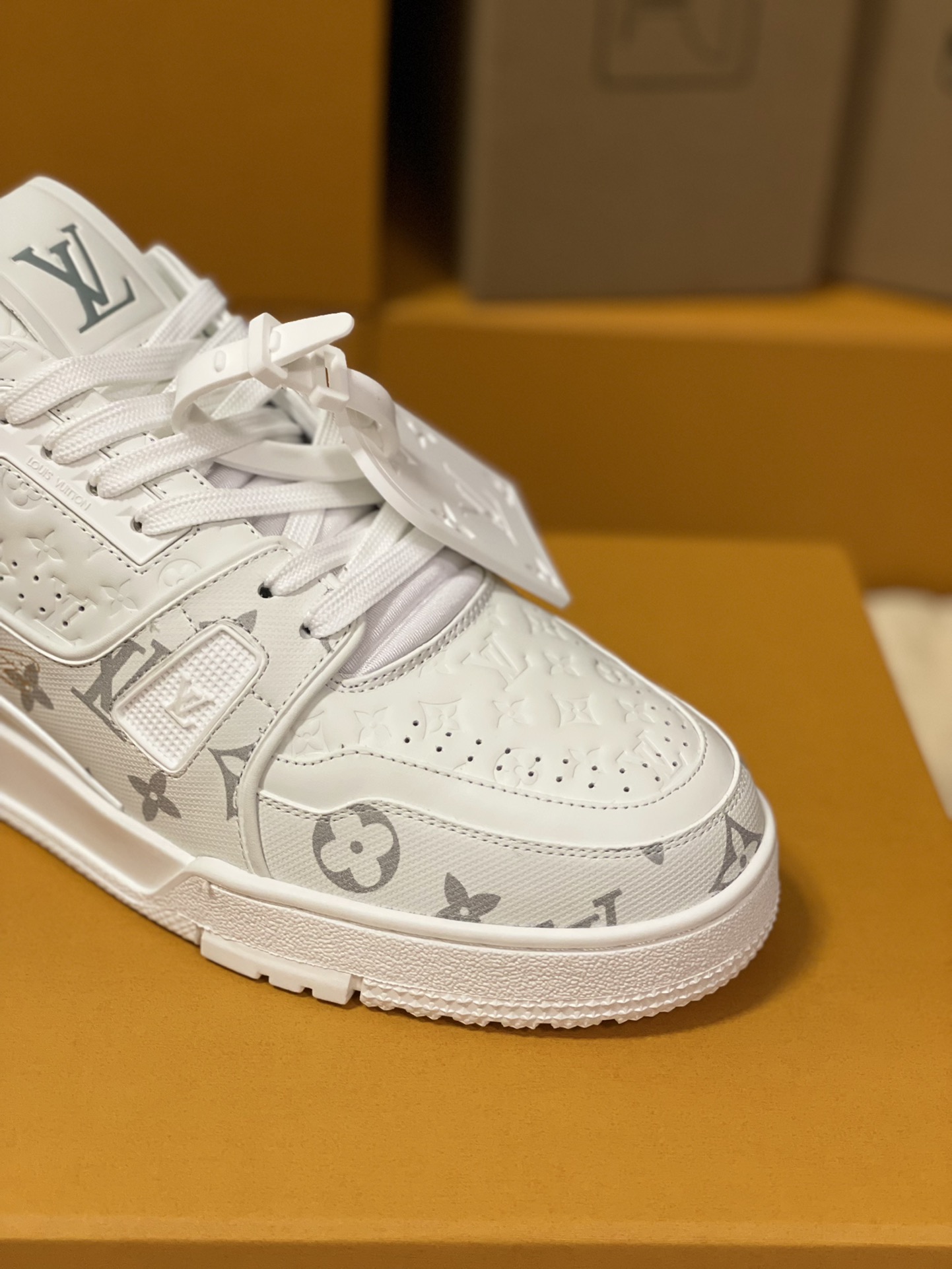 LOUIS VUITTON White Low Top Casual Shoes