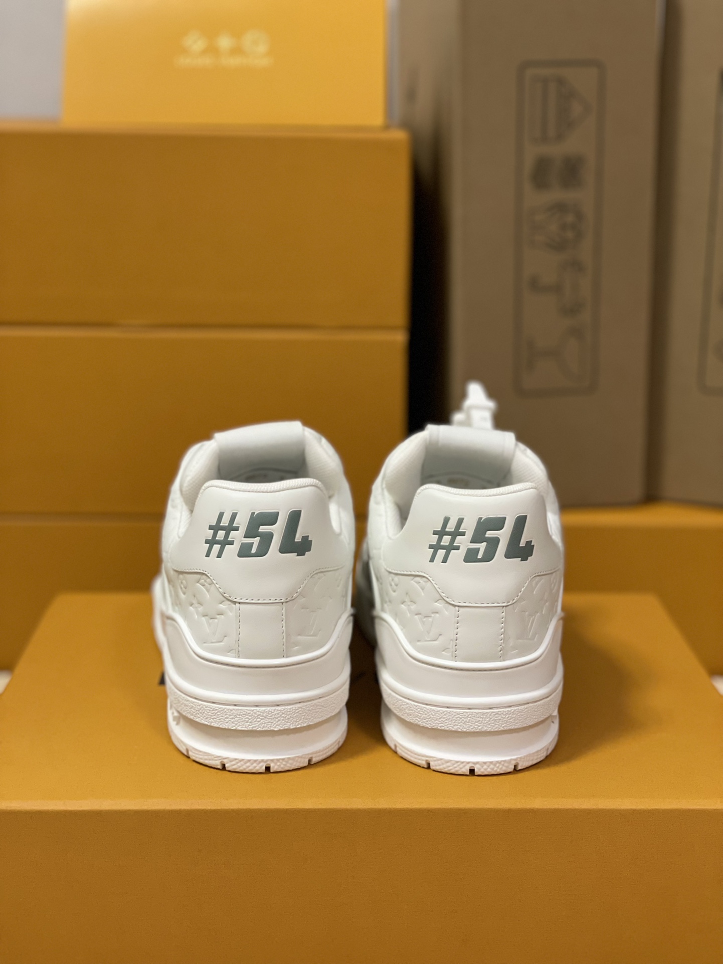 LOUIS VUITTON White Low Top Casual Shoes