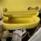 CHANEL Camellia Adjustable Buckle Collection, Smal, Yellow  AS4040