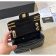 CHANEL Limited Edition Lucky Charm Badge Flap Bag
