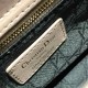 DIOR Lady Dior My ABCDior Bag DIOR Lady Dior My ABCDior Bag