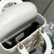 DIOR Lady Dior My ABCDior Bag DIOR Lady Dior My ABCDior Bag