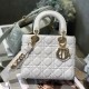 DIOR Lady Dior My ABCDior Bag DIOR Lady Dior My ABCDior Bag