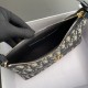 CHRISTIAN DIOR30 Montaigne Cigale hobo bag