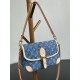 LOUIS VUITTON M13070 Diane Demin Handbag LOUIS VUITTON M13070 Diane Demin Handbag