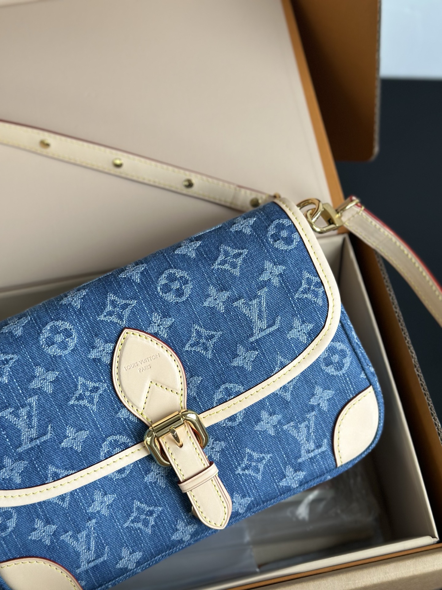 LOUIS VUITTON M13070 Diane Demin Handbag LOUIS VUITTON M13070 Diane Demin Handbag