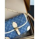 LOUIS VUITTON M13070 Diane Demin Handbag LOUIS VUITTON M13070 Diane Demin Handbag