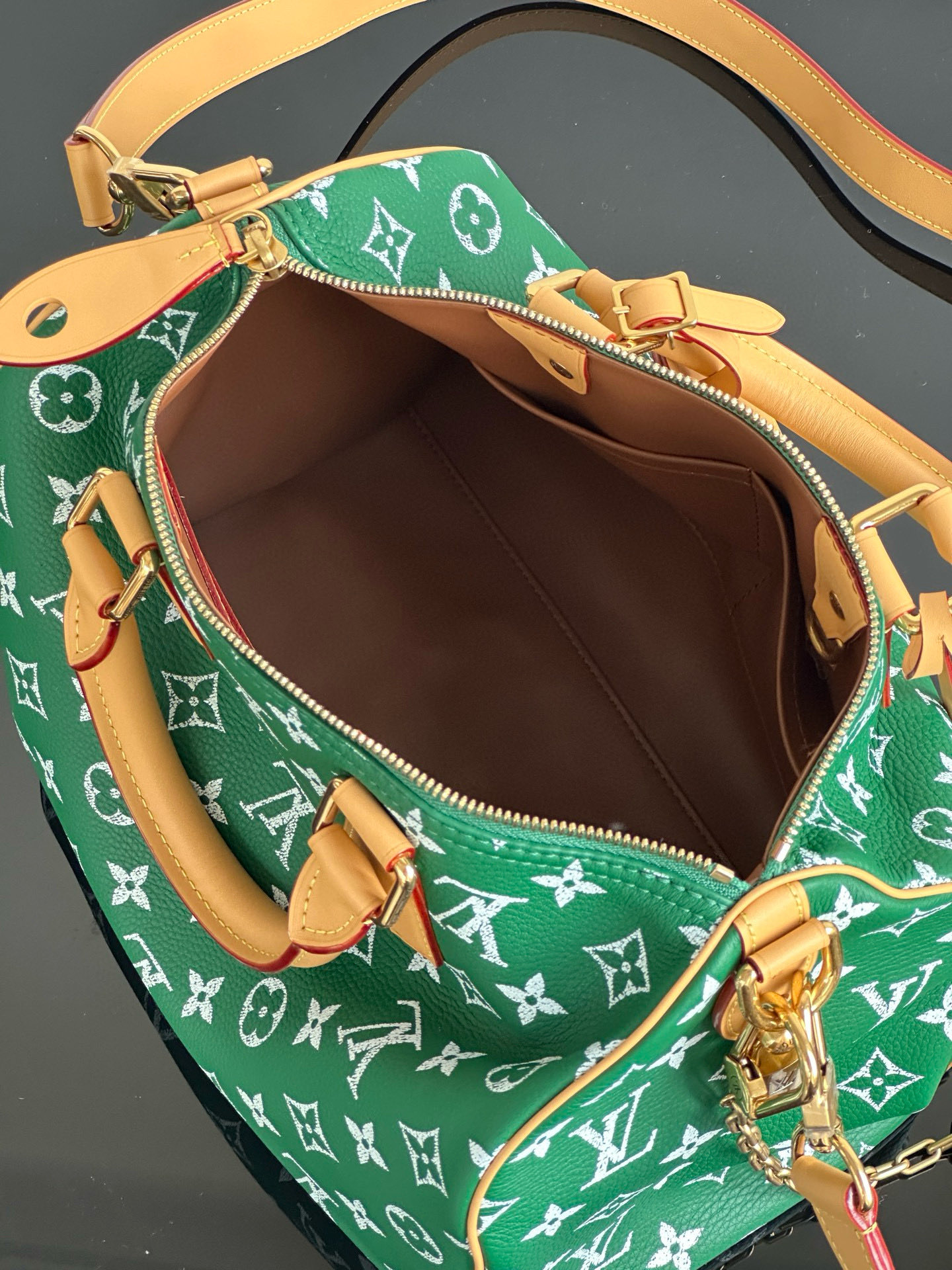LOUIS VUITTON Speedy P9 Bandoulière 30 Monogram Green