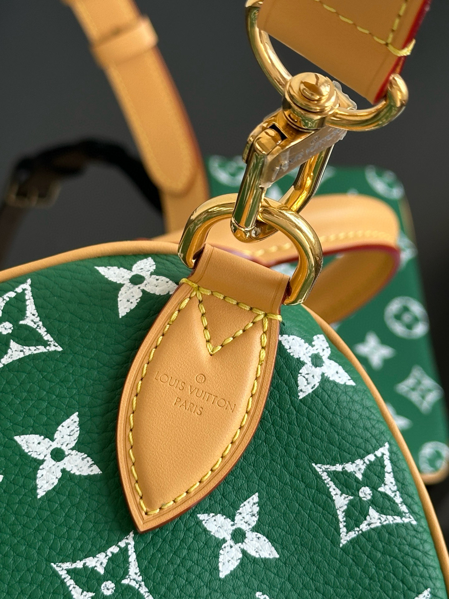 LOUIS VUITTON Speedy P9 Bandoulière 30 Monogram Green