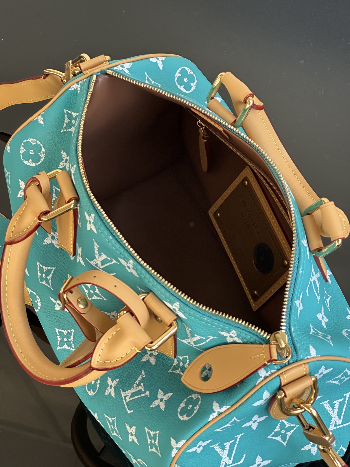 LOUIS VUITTON Speedy P9 Bandoulière 30 Monogram Turquoise