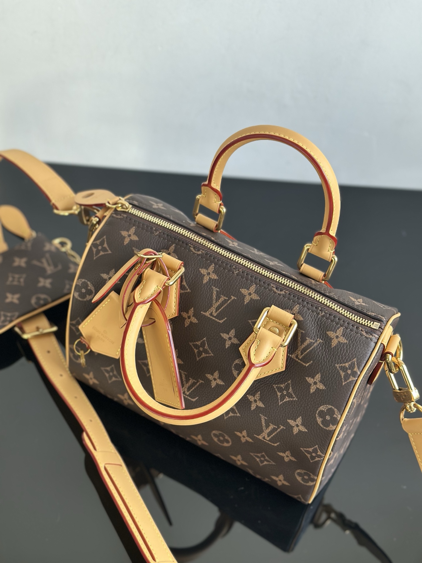 LOUIS VUITTON Speedy P9 Bandoulière 30 Monogram Monogram