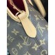 LOUIS VUITTON Ever More PM M15208