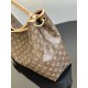 LOUIS VUITTON The Again Bag  M25877 Sac Again