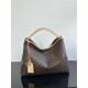 LOUIS VUITTON The Again Bag  M25877 Sac Again