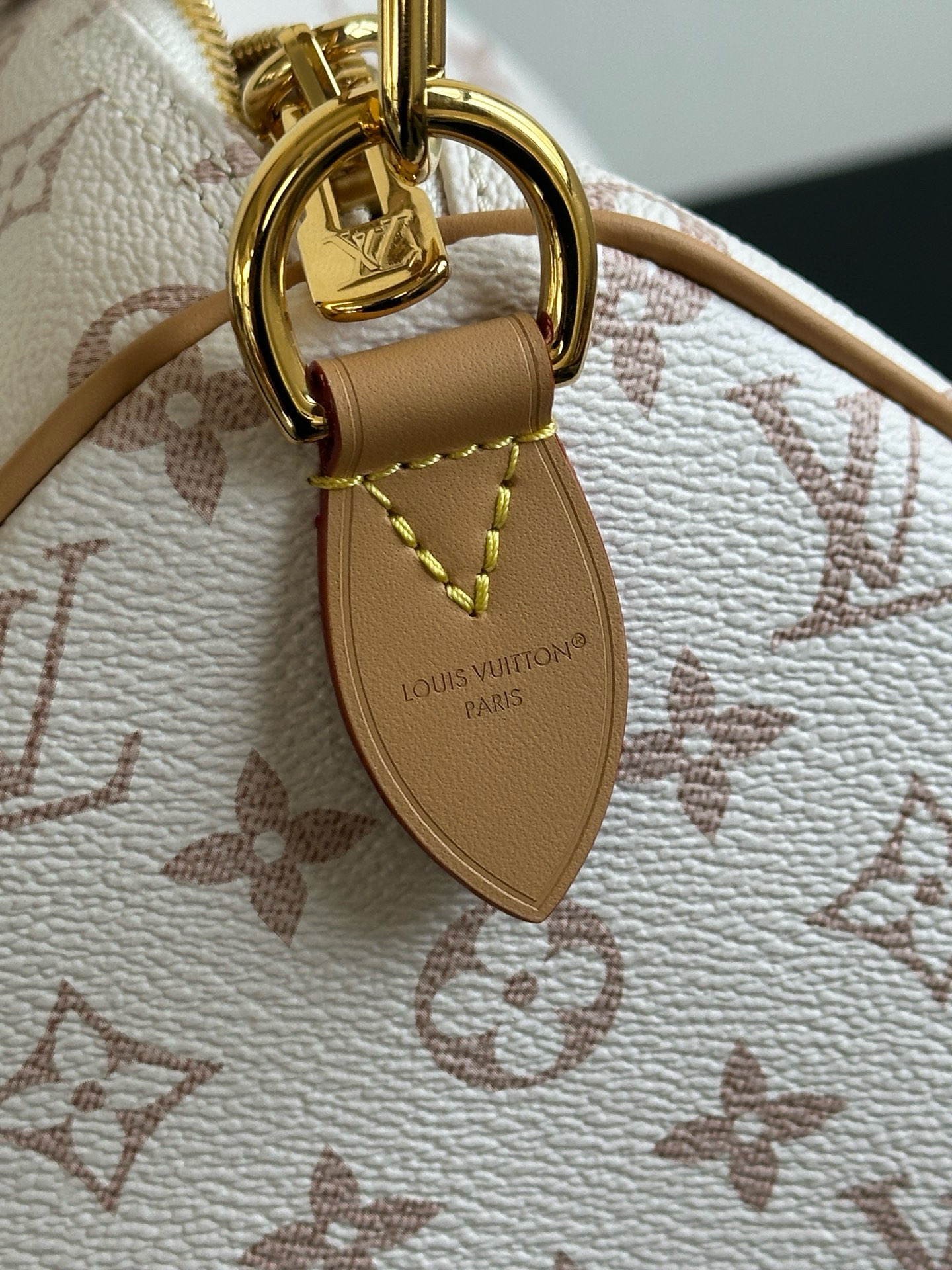 LOUIS VUITTON Speedy Soft 30 Lucky Other Monogram Canvas Handbag
