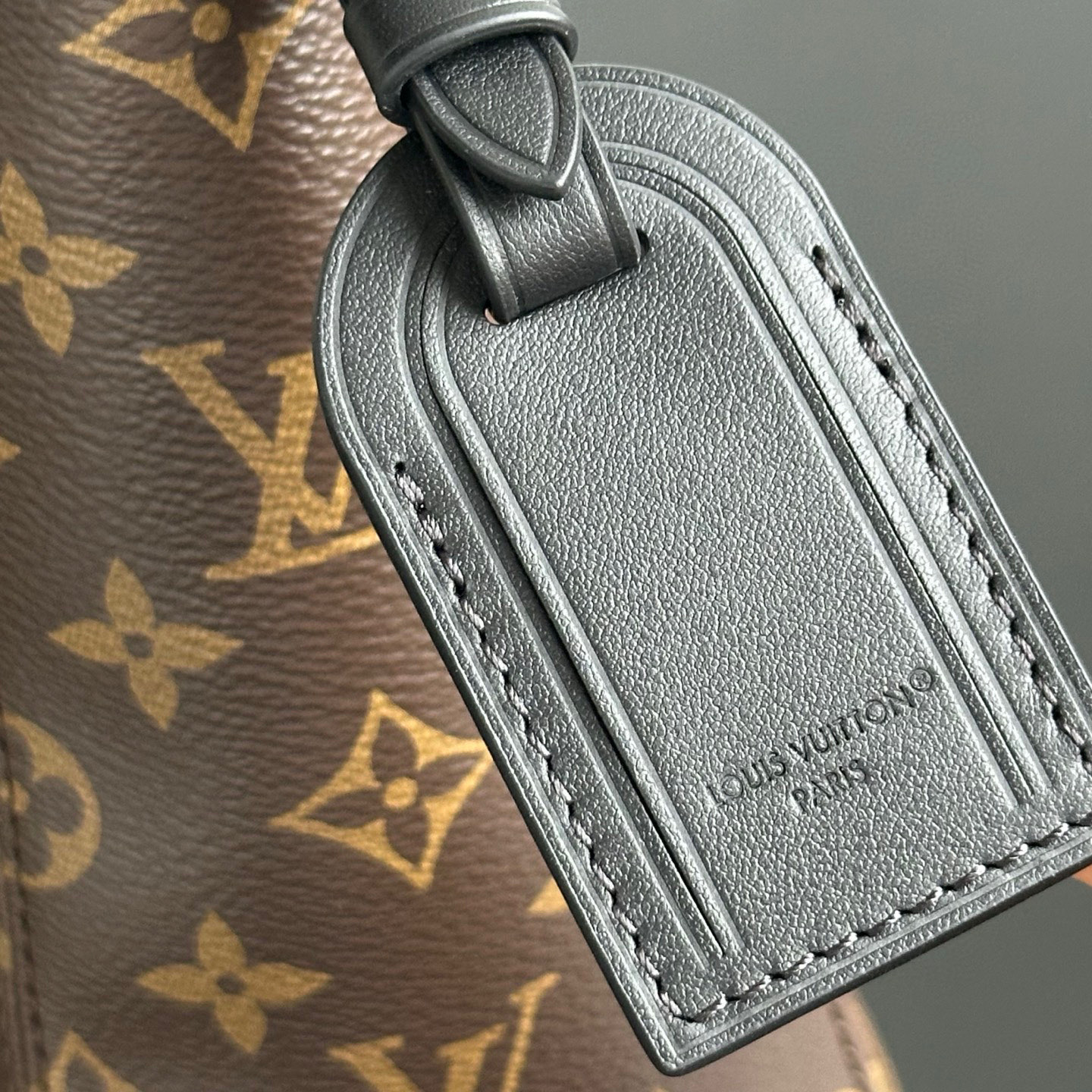 LOUIS VUITTON The Drop GM Monogram Women Handbag