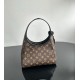 LOUIS VUITTON The Drop GM Monogram Women Handbag